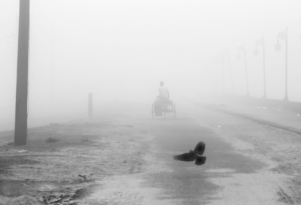 WPC 2024 Reportage/Photojournalism Czech Republic